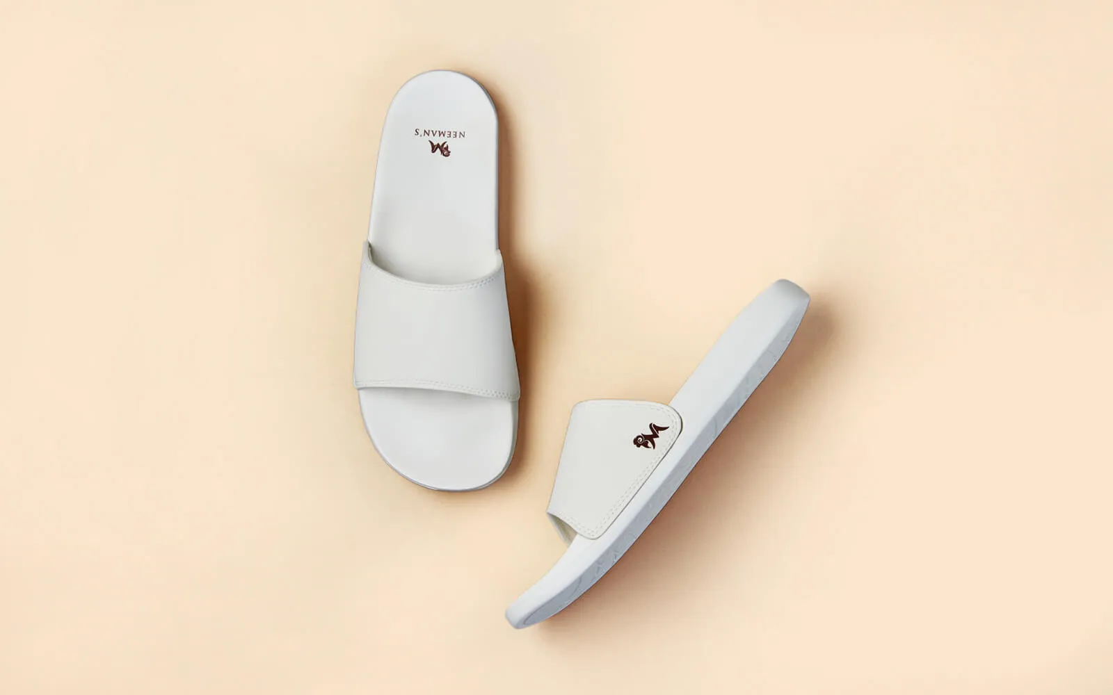 Eco Slides